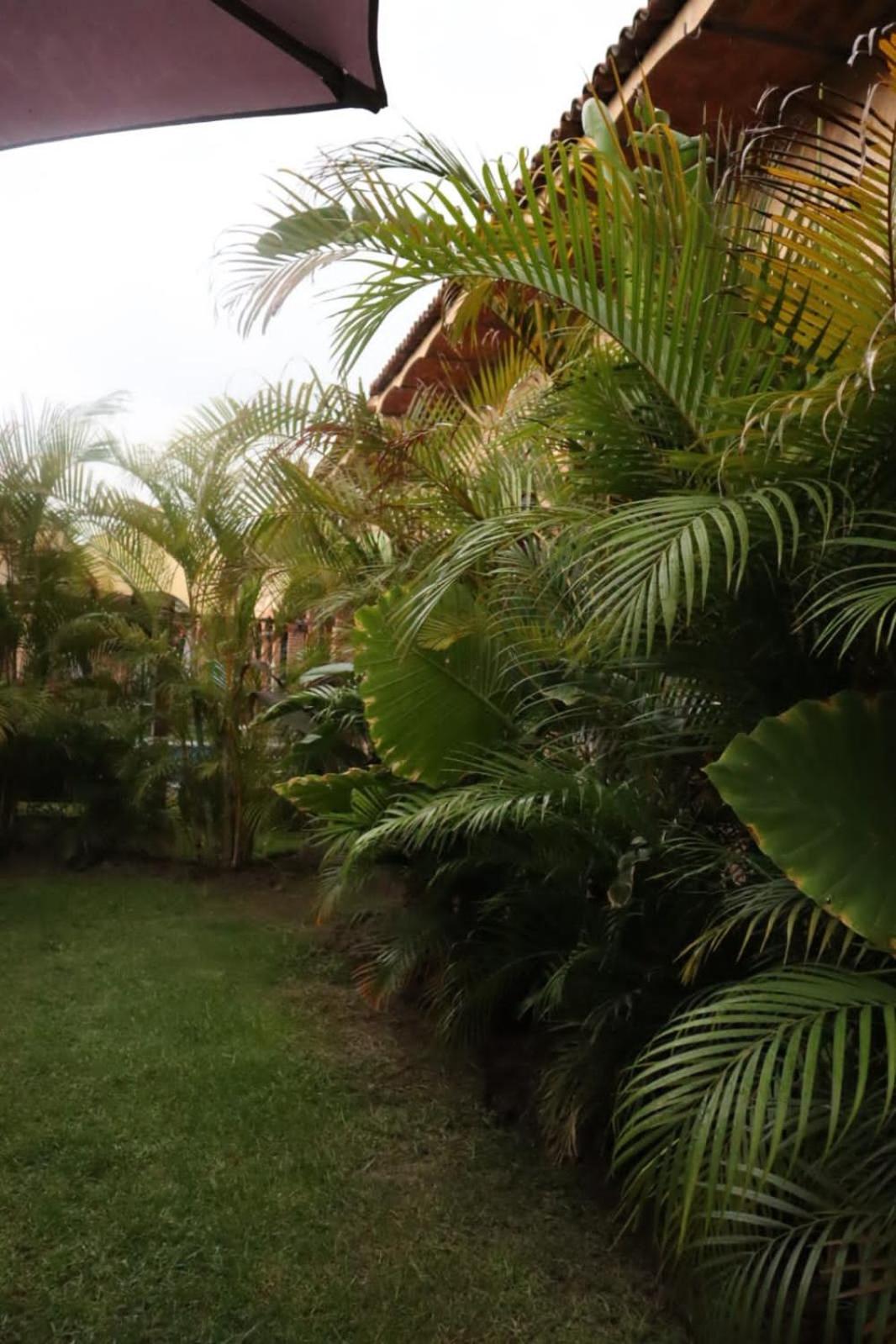 Hotel Boutique Sol Y Luna Spa Ajijic Zewnętrze zdjęcie